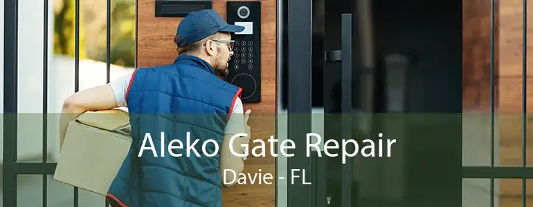 Aleko Gate Repair Davie - FL