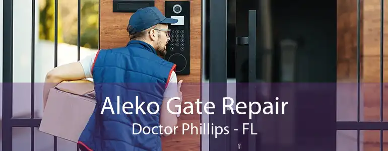 Aleko Gate Repair Doctor Phillips - FL