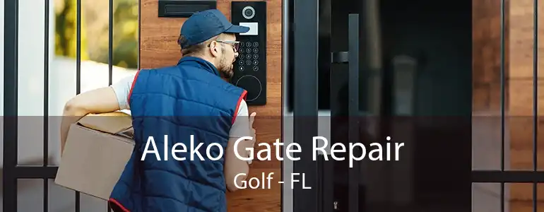 Aleko Gate Repair Golf - FL