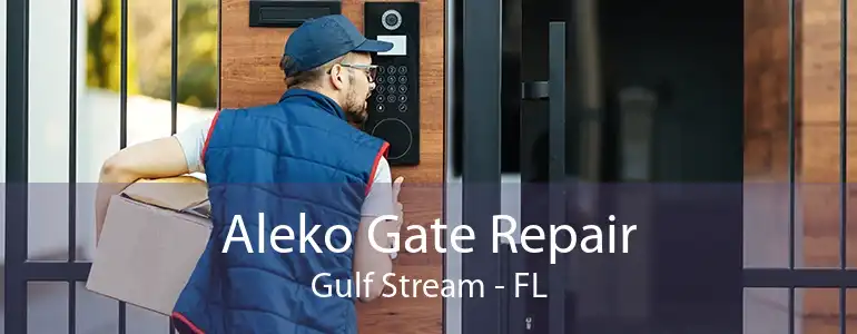 Aleko Gate Repair Gulf Stream - FL