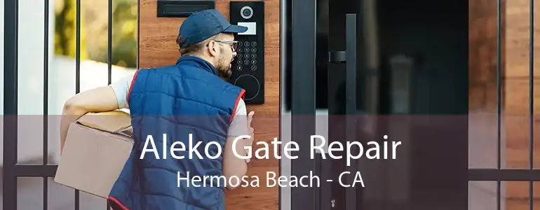 Aleko Gate Repair Hermosa Beach - CA