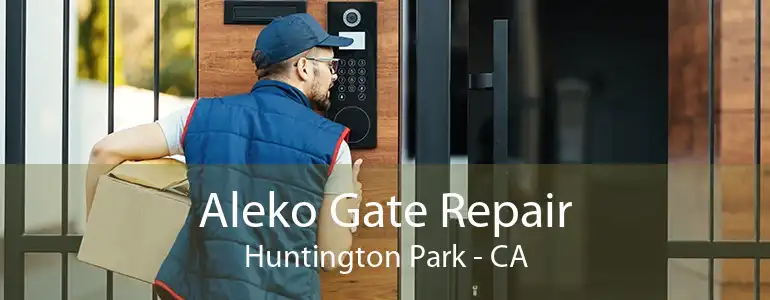 Aleko Gate Repair Huntington Park - CA