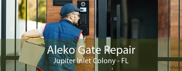 Aleko Gate Repair Jupiter Inlet Colony - FL