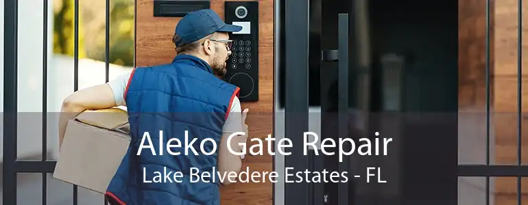 Aleko Gate Repair Lake Belvedere Estates - FL