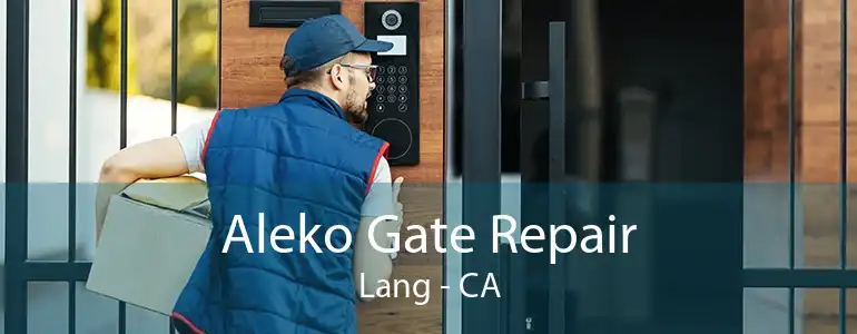 Aleko Gate Repair Lang - CA