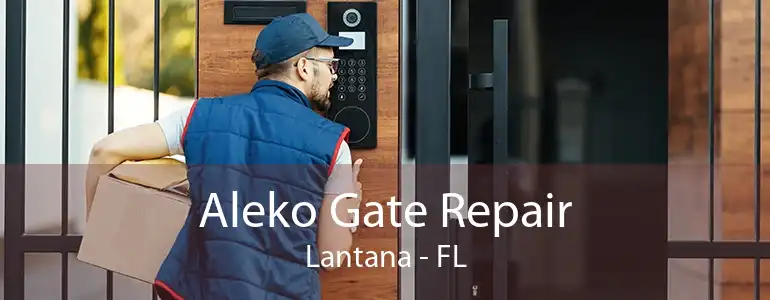 Aleko Gate Repair Lantana - FL