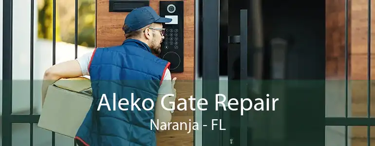 Aleko Gate Repair Naranja - FL