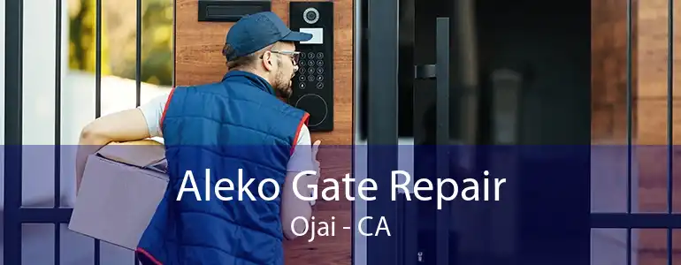 Aleko Gate Repair Ojai - CA