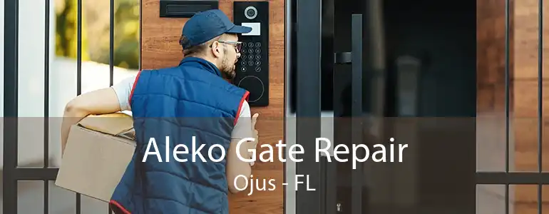 Aleko Gate Repair Ojus - FL