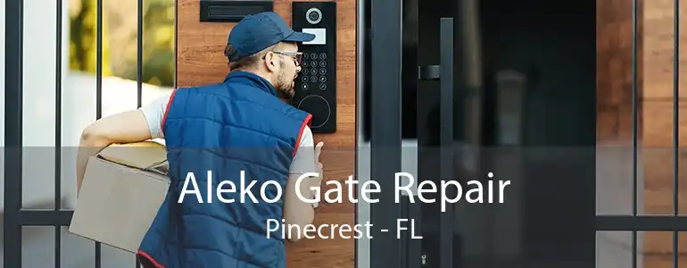 Aleko Gate Repair Pinecrest - FL