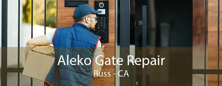 Aleko Gate Repair Russ - CA