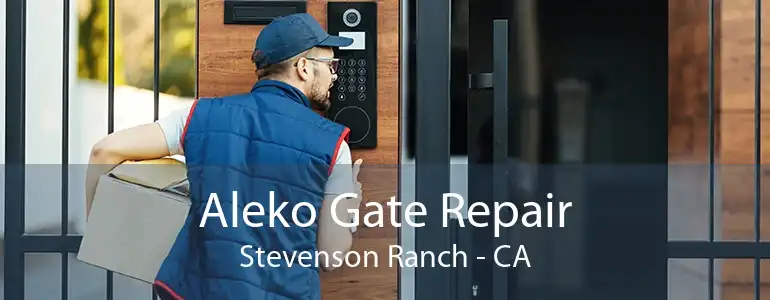 Aleko Gate Repair Stevenson Ranch - CA