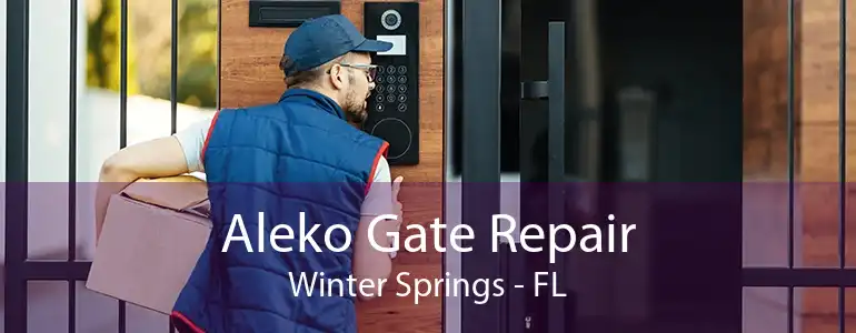 Aleko Gate Repair Winter Springs - FL