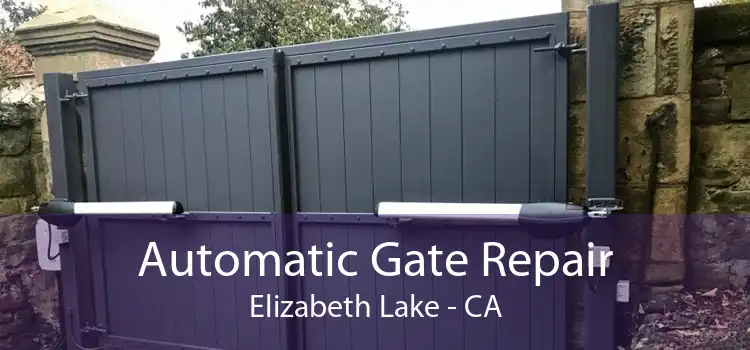 Automatic Gate Repair Elizabeth Lake - CA