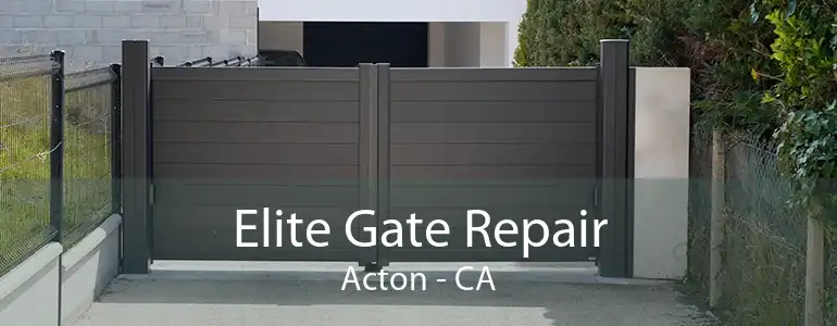 Elite Gate Repair Acton - CA