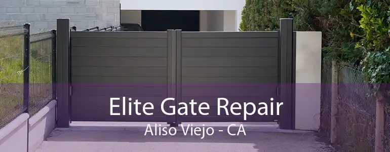 Elite Gate Repair Aliso Viejo - CA