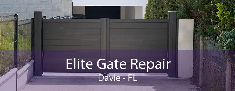 Elite Gate Repair Davie - FL