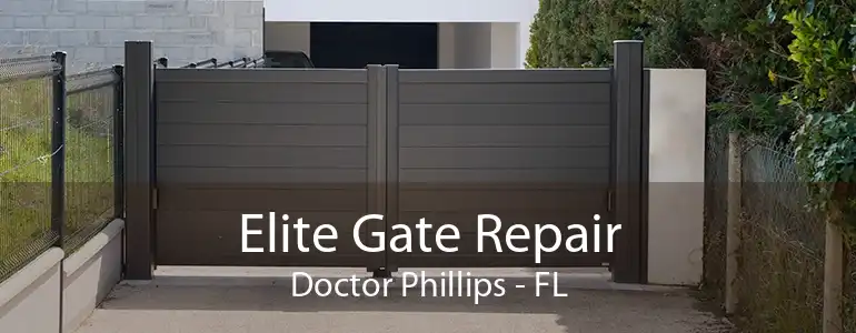 Elite Gate Repair Doctor Phillips - FL