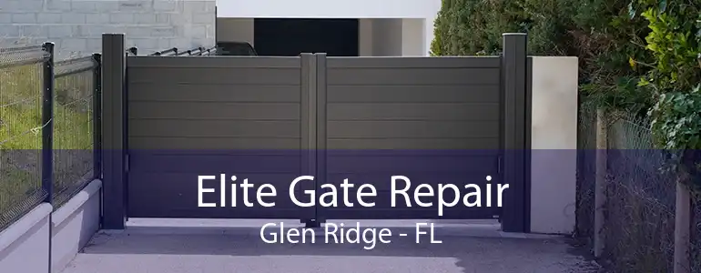 Elite Gate Repair Glen Ridge - FL