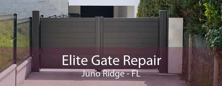 Elite Gate Repair Juno Ridge - FL