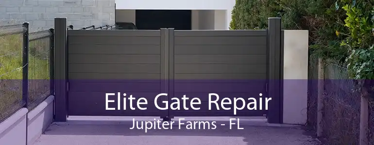 Elite Gate Repair Jupiter Farms - FL