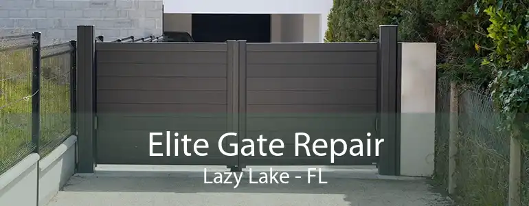 Elite Gate Repair Lazy Lake - FL