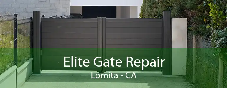 Elite Gate Repair Lomita - CA