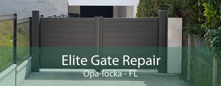 Elite Gate Repair Opa-locka - FL