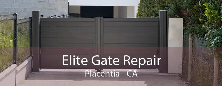 Elite Gate Repair Placentia - CA