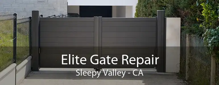 Elite Gate Repair Sleepy Valley - CA