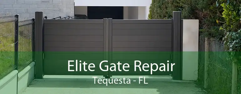 Elite Gate Repair Tequesta - FL