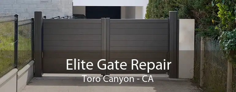 Elite Gate Repair Toro Canyon - CA