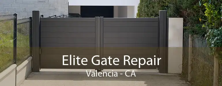 Elite Gate Repair Valencia - CA