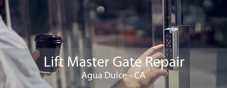 Lift Master Gate Repair Agua Dulce - CA