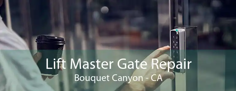 Lift Master Gate Repair Bouquet Canyon - CA