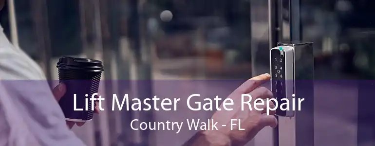 Lift Master Gate Repair Country Walk - FL