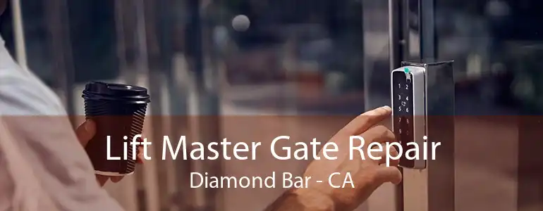 Lift Master Gate Repair Diamond Bar - CA