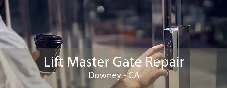 Lift Master Gate Repair Downey - CA