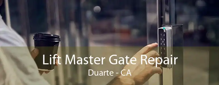 Lift Master Gate Repair Duarte - CA