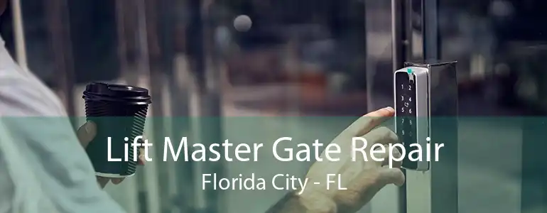 Lift Master Gate Repair Florida City - FL