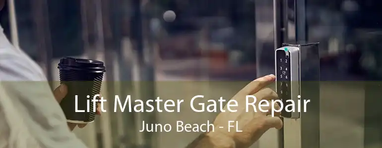 Lift Master Gate Repair Juno Beach - FL