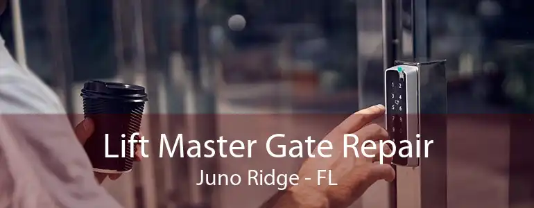 Lift Master Gate Repair Juno Ridge - FL