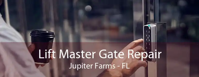 Lift Master Gate Repair Jupiter Farms - FL