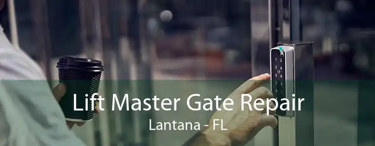 Lift Master Gate Repair Lantana - FL