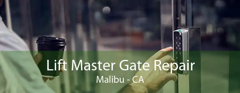 Lift Master Gate Repair Malibu - CA