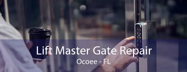 Lift Master Gate Repair Ocoee - FL