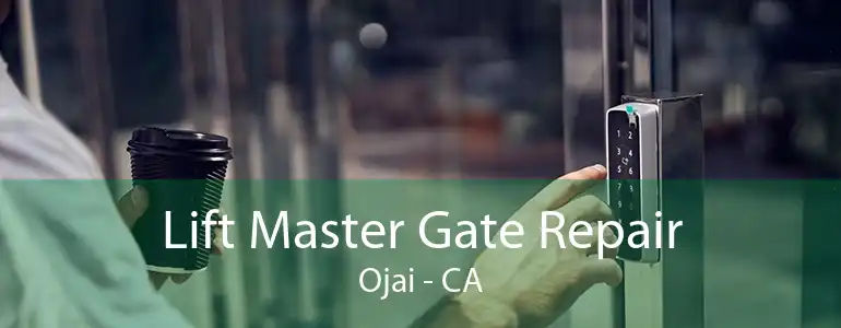 Lift Master Gate Repair Ojai - CA