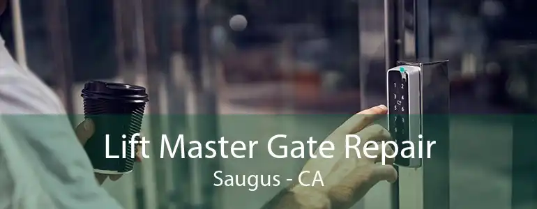 Lift Master Gate Repair Saugus - CA