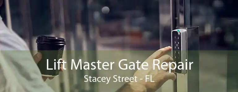 Lift Master Gate Repair Stacey Street - FL