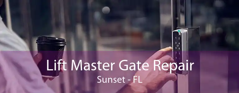 Lift Master Gate Repair Sunset - FL